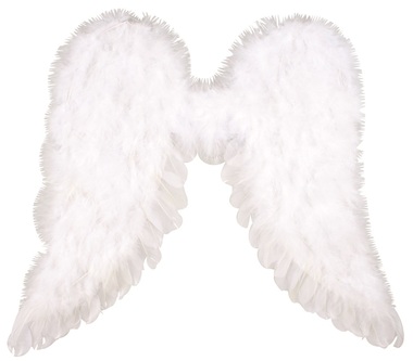 Angel Wings 50 x 50 cm