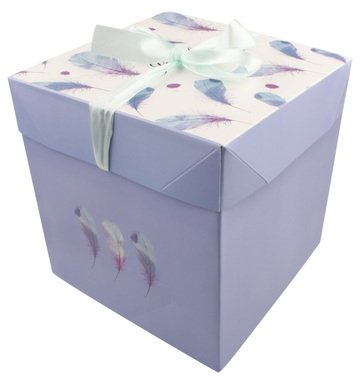 Foldable Gift Box with Ribbon M  16,5x16,5x16,5 cm Feathers