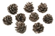 Pinecones 9 pcs, Champagne colour