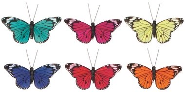 Butterflies on Clip Mix of Colors 5 cm, 6 Pcs 