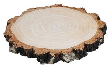 Wooden slice Birch 16-18 cm