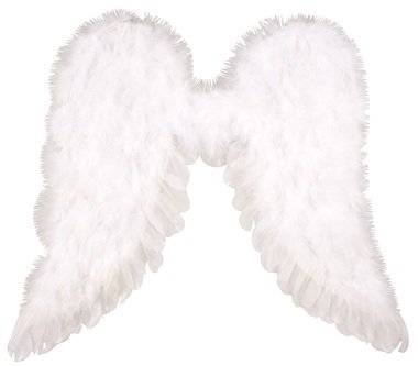 Angel Wings 45 x 39 cm